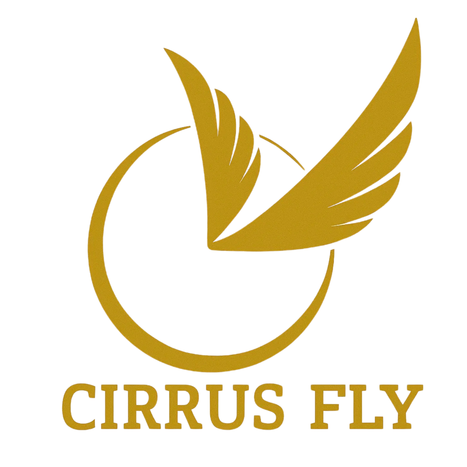 Cirrus Fly